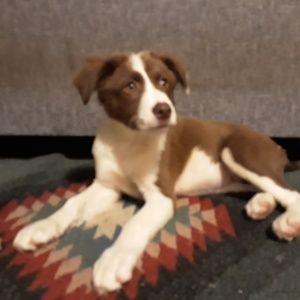 Meet your Posher, April